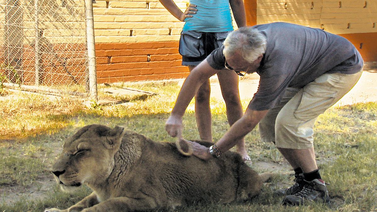 das waisenhaus für wilde tiere - abenteuer afrika