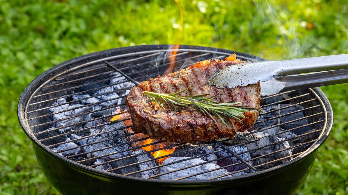 deutschland grillt! feuer und flamme für grenzenlosen genuss