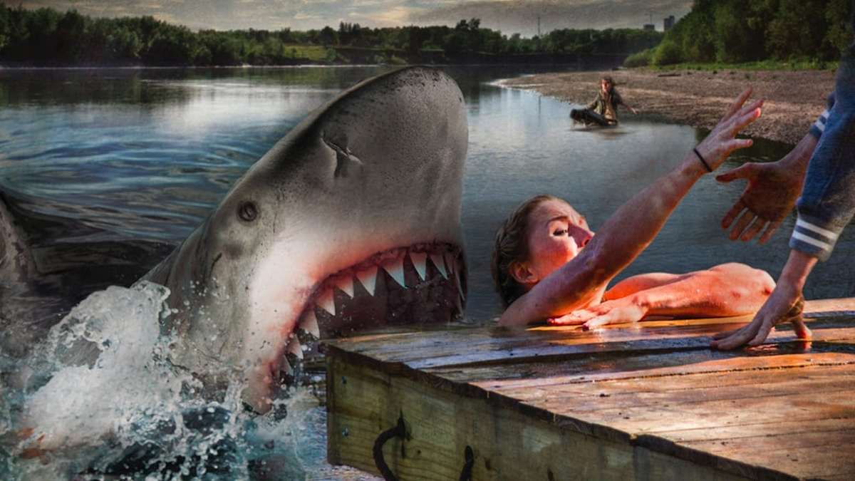 Summer Shark Attack Summer Shark Attack