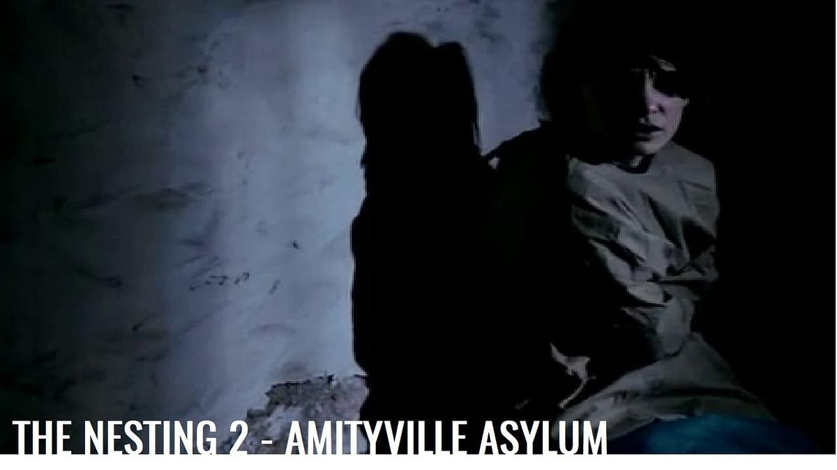 The Nesting 2 - Amityville Asylum The Nesting 2 - Amityville Asylum