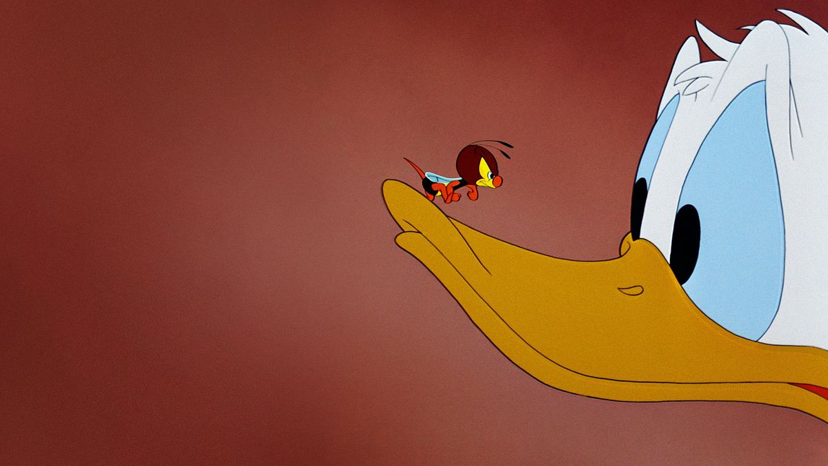 Donald, der Hobbytapezierer