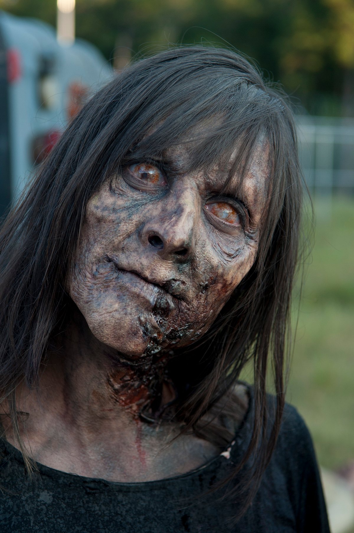 Die The Walking Dead-Zombies, Staffel 3