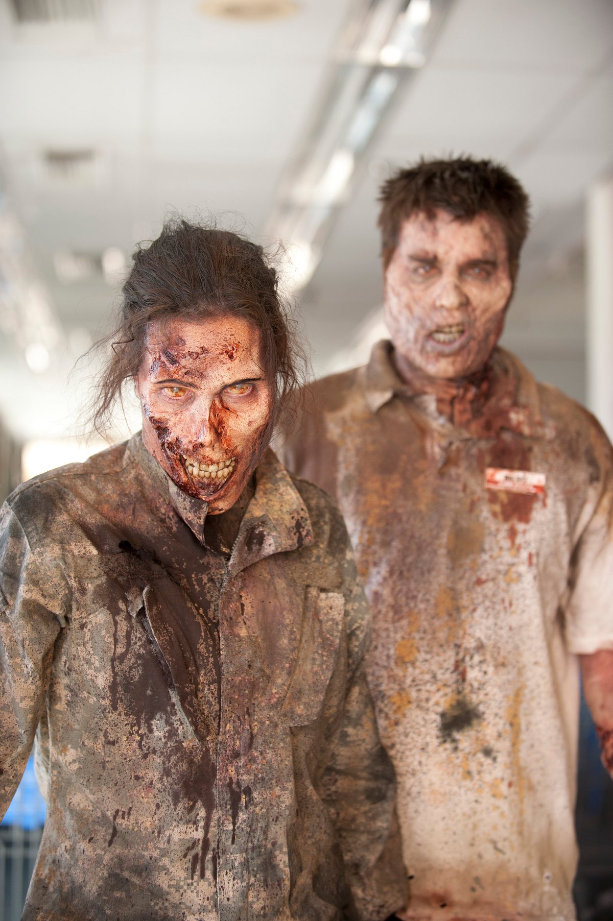 Die The Walking Dead-Zombies, Staffel 4