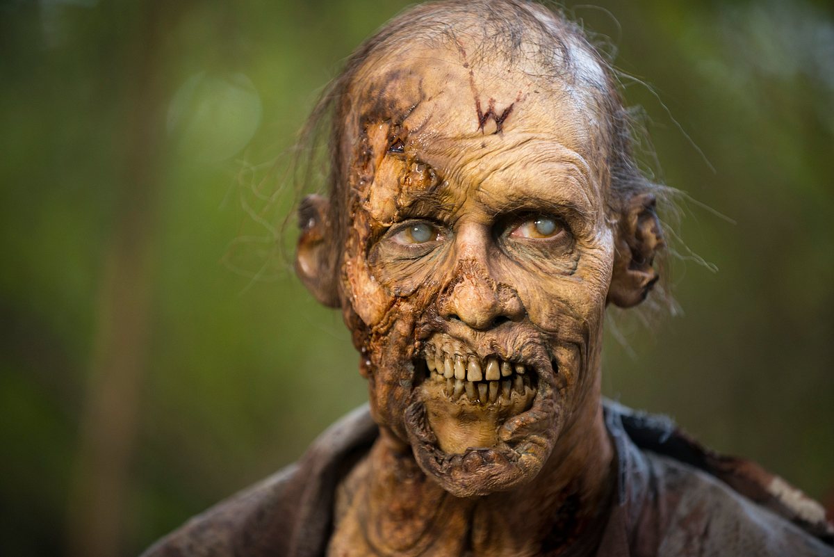 Die The Walking Dead-Zombies, Staffel 5