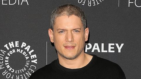 Wentworth Miller - Foto: Getty Images