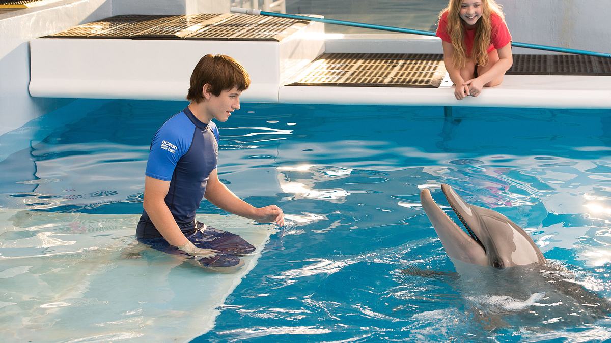 mein freund, der delfin 2