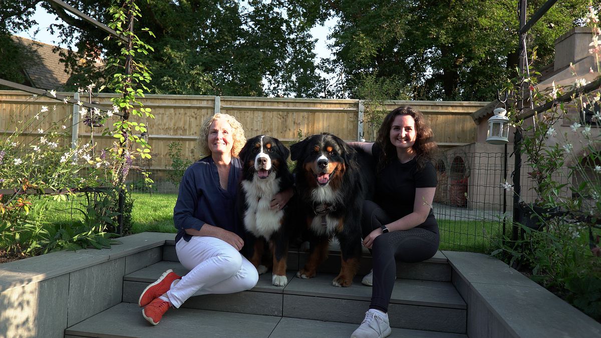 der hund oder ich!