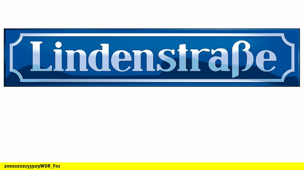 drachenreiter