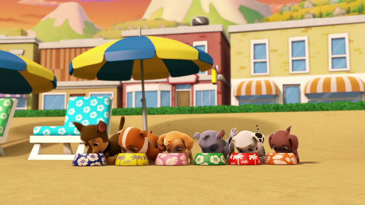 paw patrol - helfer auf vier pfoten