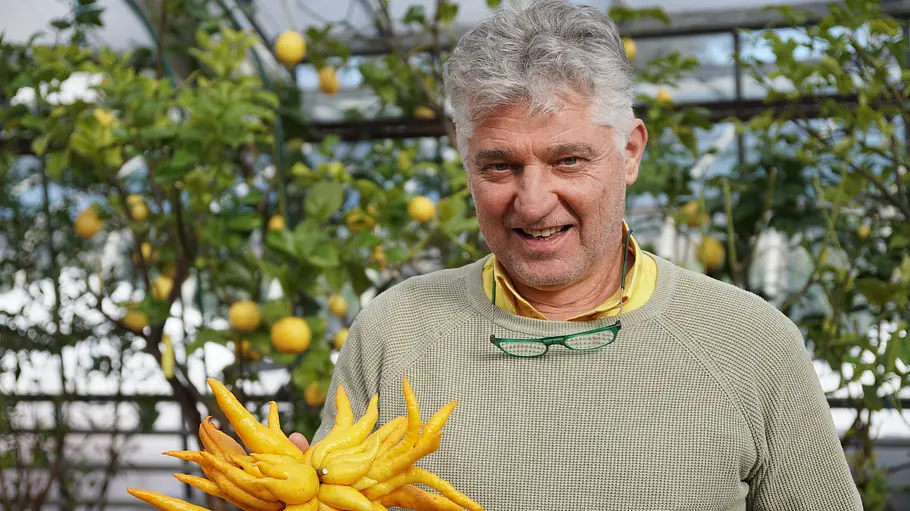3satThementag: Naturschönheit Kärnten 3satthementag: naturschönheit kärnten