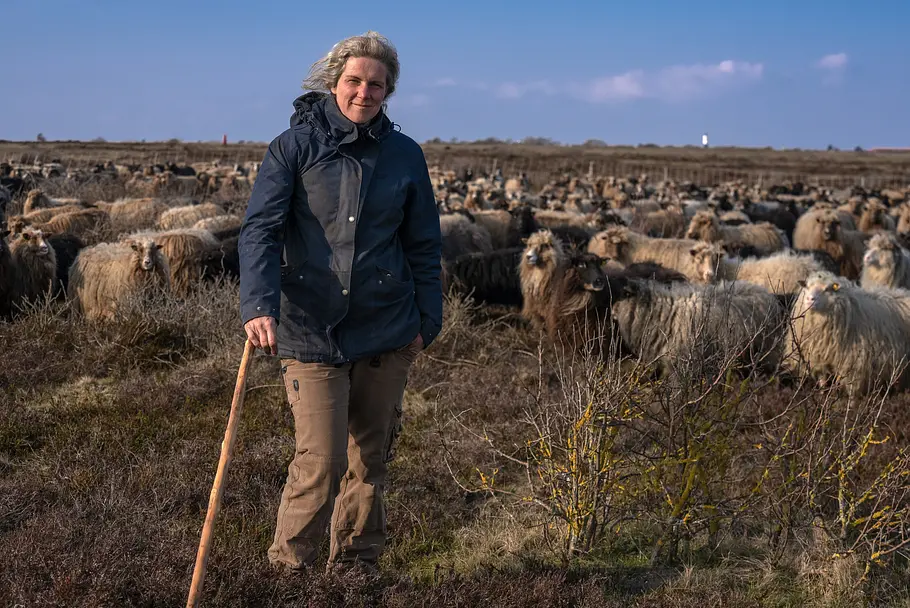 Sylt - Wellen, Wind und Watt sylt - wellen, wind und watt