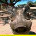Das Waisenhaus für wilde Tiere - Abenteuer Afrika Thumbnail