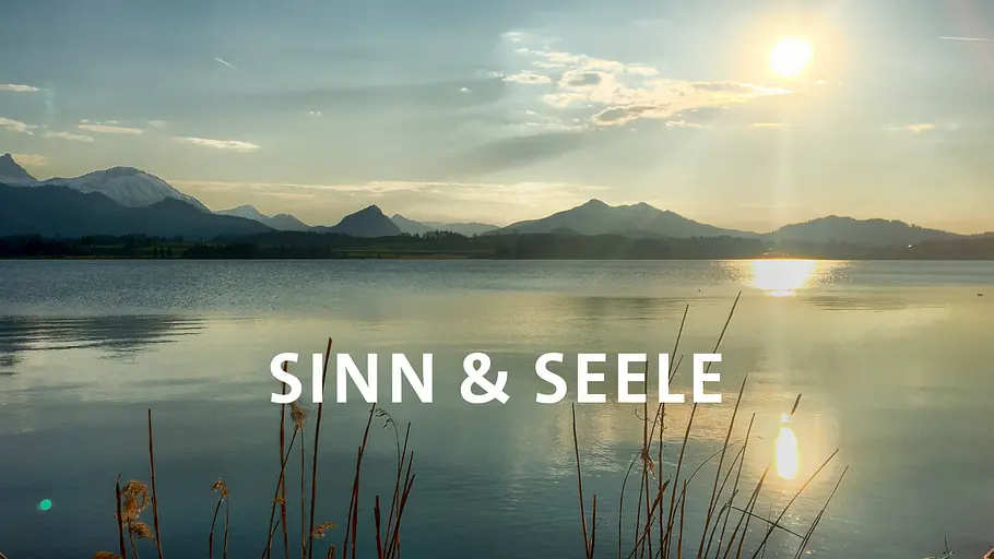 Sinn & Seele sinn & seele