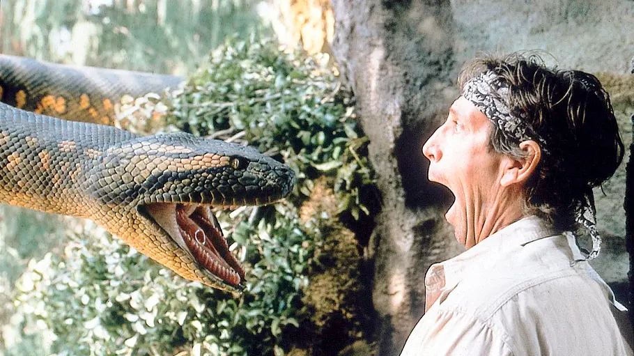 anaconda