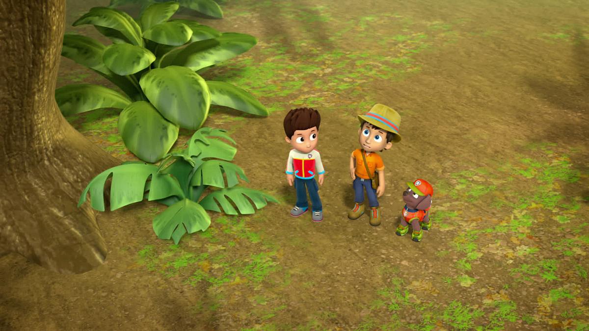 paw patrol - helfer auf vier pfoten
