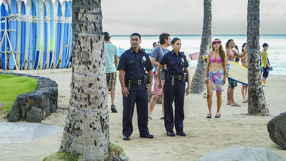 hawaii five-0