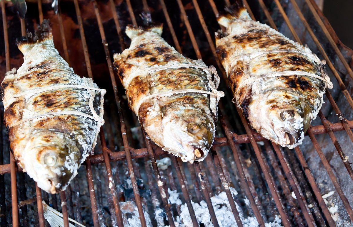 alpha-thema: Weltmeisterlich grillen alpha-thema: weltmeisterlich grillen