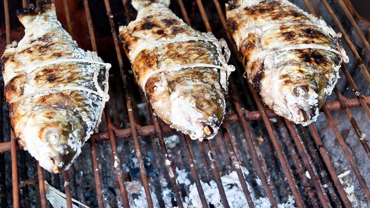 alpha-thema: weltmeisterlich grillen