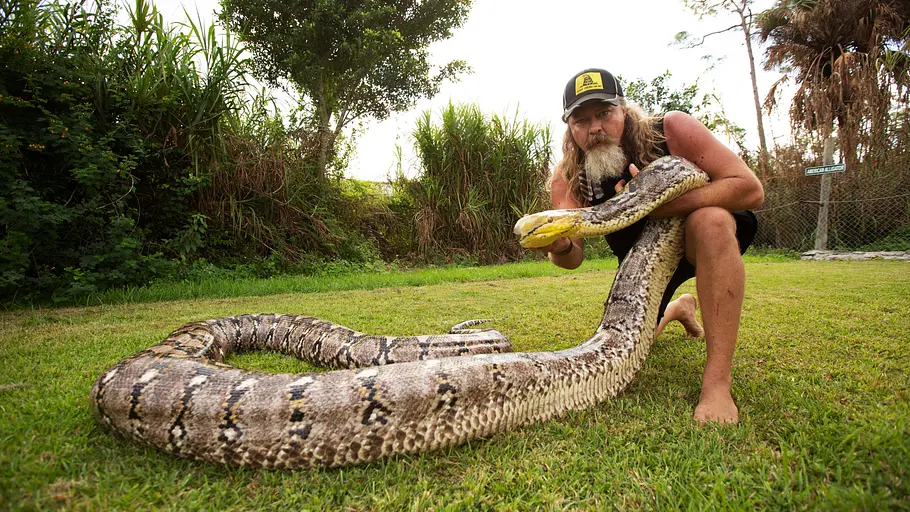 Die Pythonjäger - Einsatz in den Everglades die pythonjäger - einsatz in den everglades