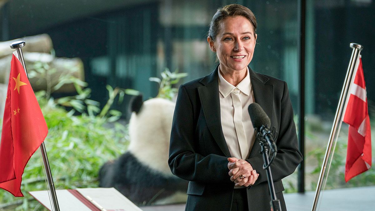 borgen - gefährliche seilschaften