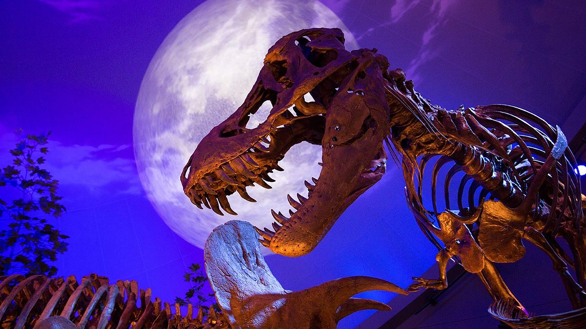 t-rex: ultimate survivor