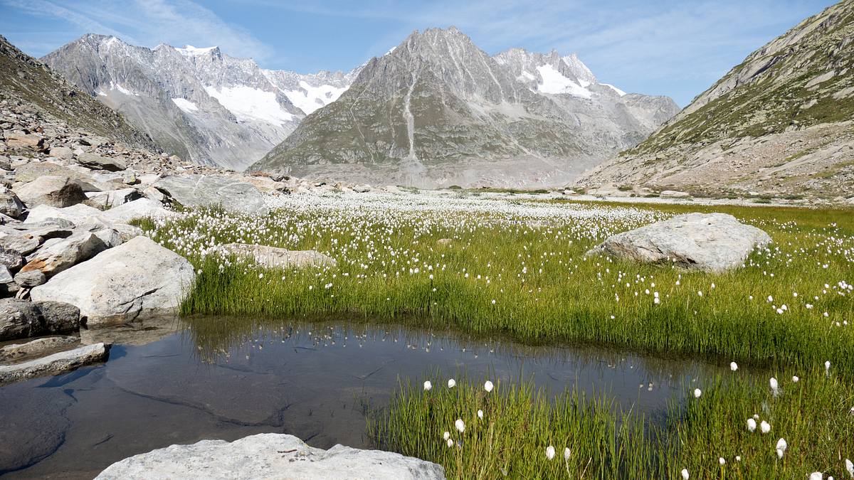 unsere wilde schweiz