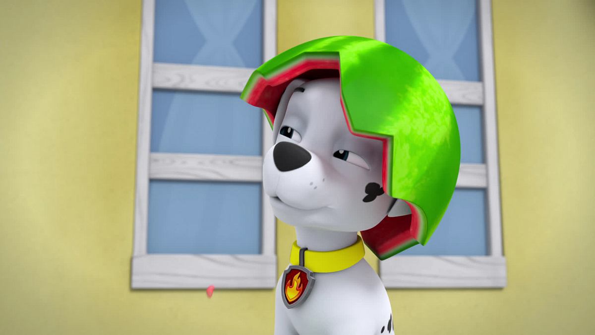 paw patrol - helfer auf vier pfoten
