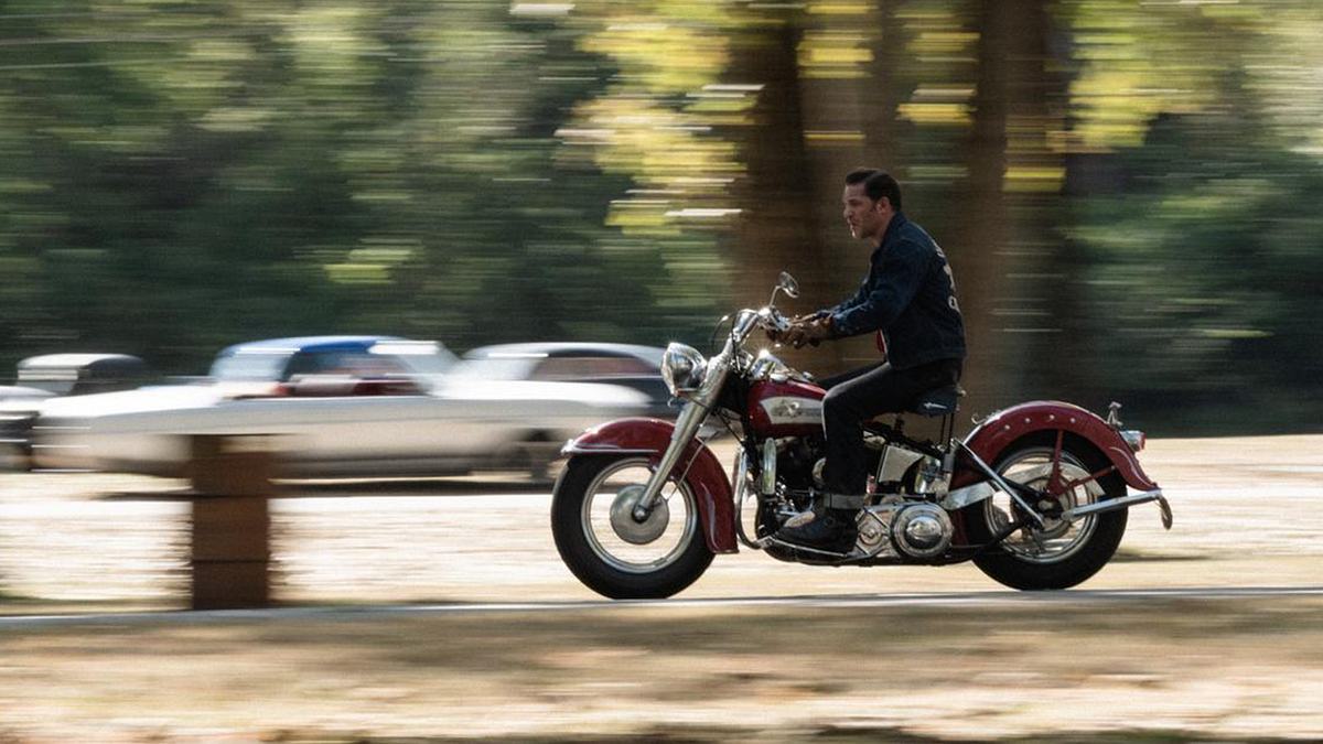the bikeriders