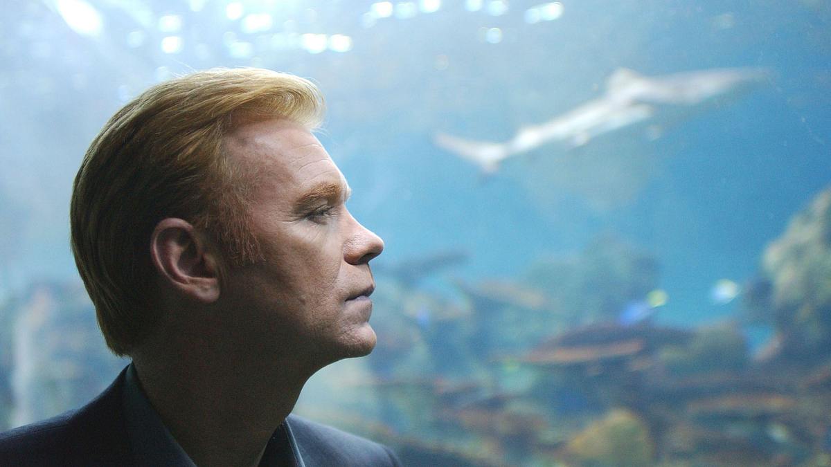 csi: miami