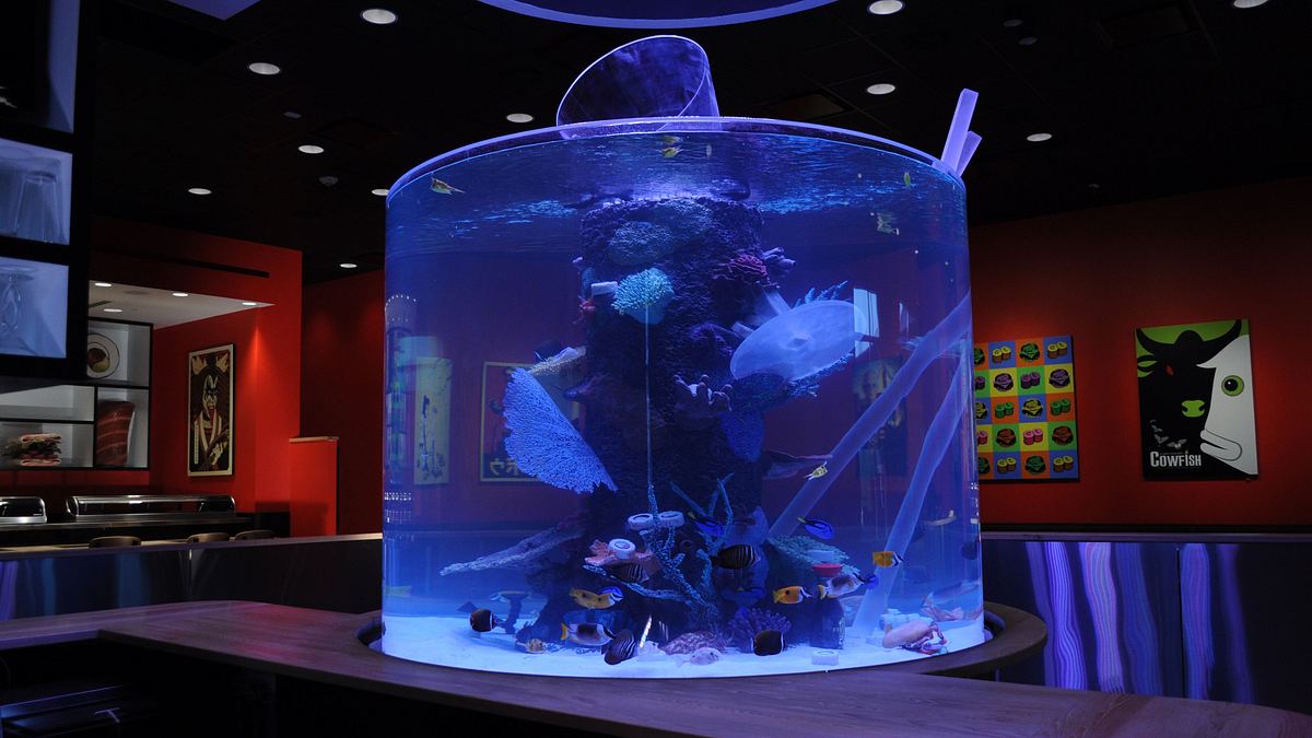 die aquarium-profis