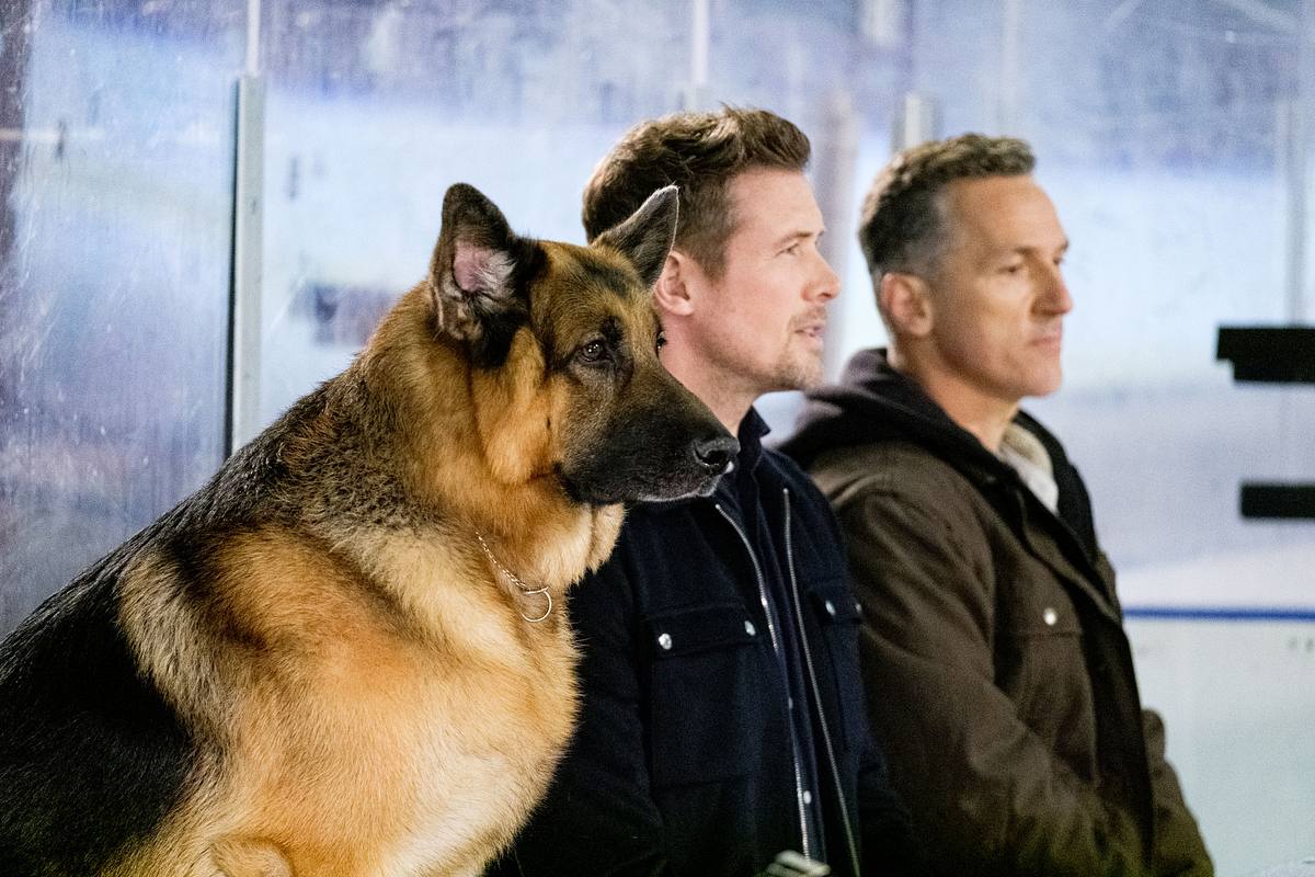 hudson & rex