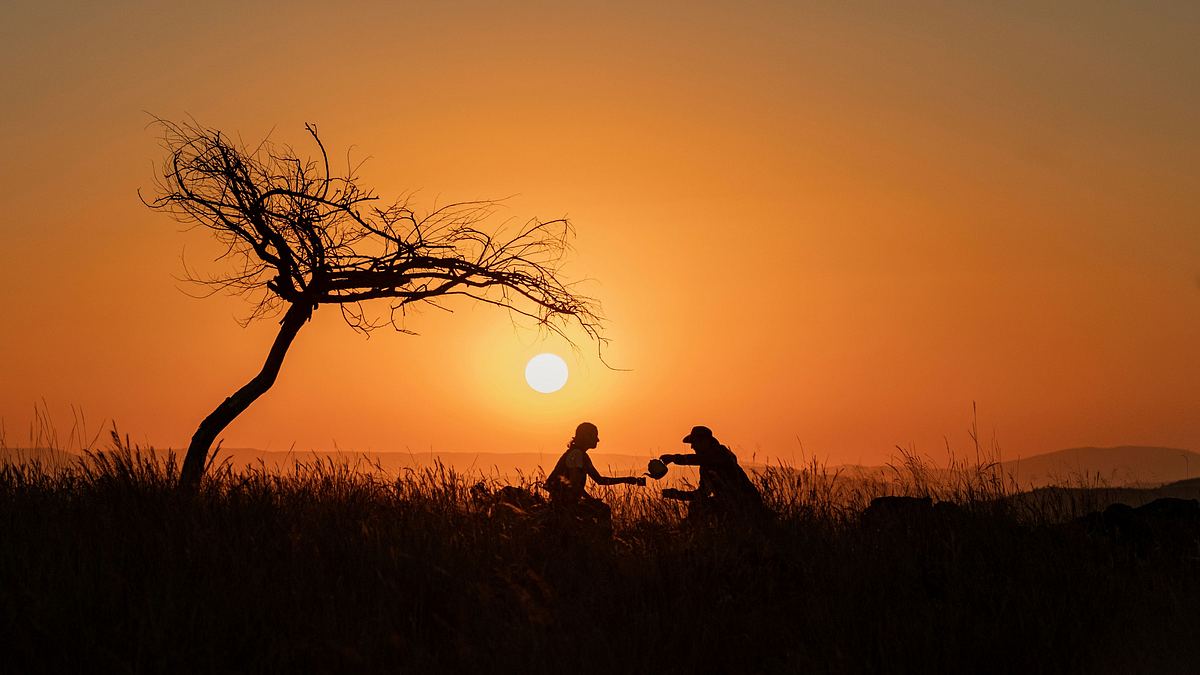 löwenzahn - abenteuer in südafrika