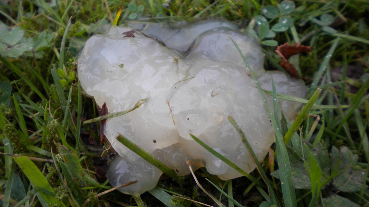 geheimakte wildnis
