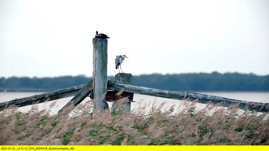 peenemünde - vom geheimen militärkomplex zum naturparadies