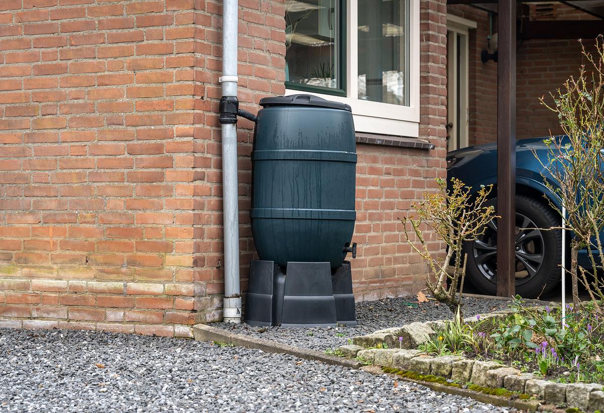 Schatzsucher Sonntag schatzsucher sonntag