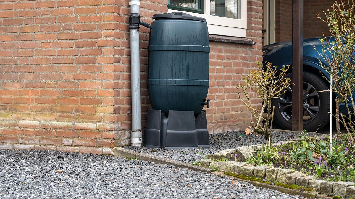 schatzsucher sonntag