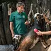 Tierärztin Dr. Mertens Thumbnail