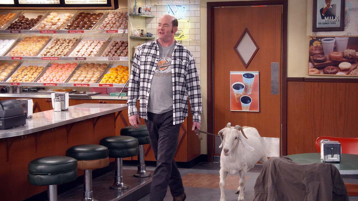 superior donuts