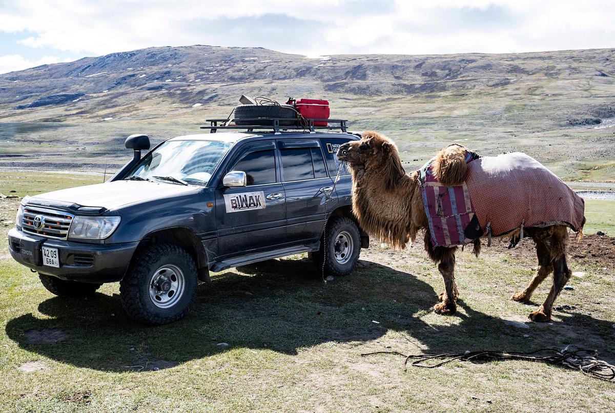 Biwak - Abenteuer Mongolei biwak - abenteuer mongolei
