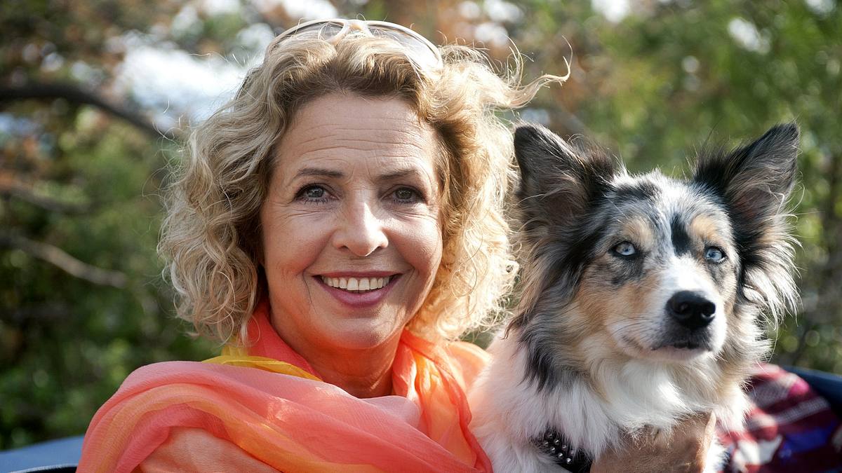 unterwegs mit elsa
