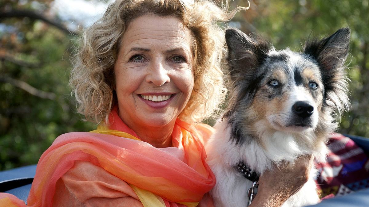 unterwegs mit elsa