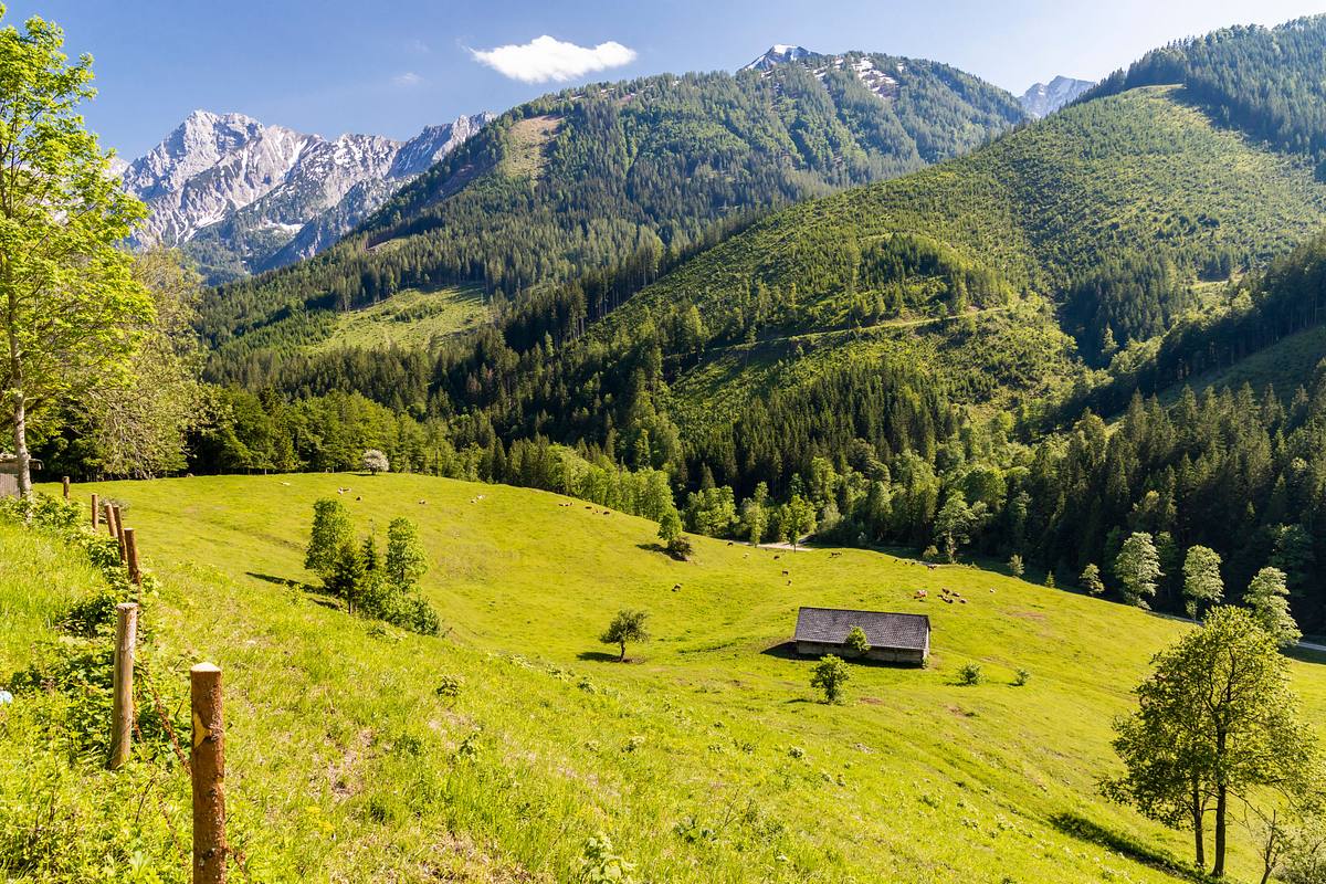 Sommerglücksmomente sommerglücksmomente