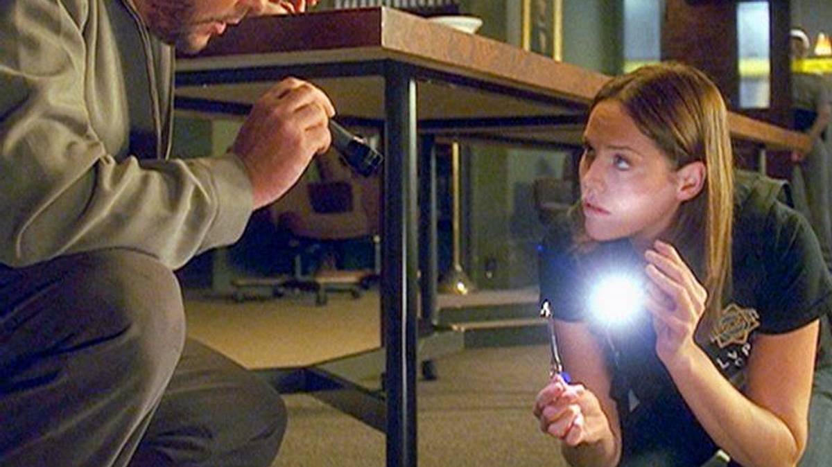 csi: den tätern auf der spur