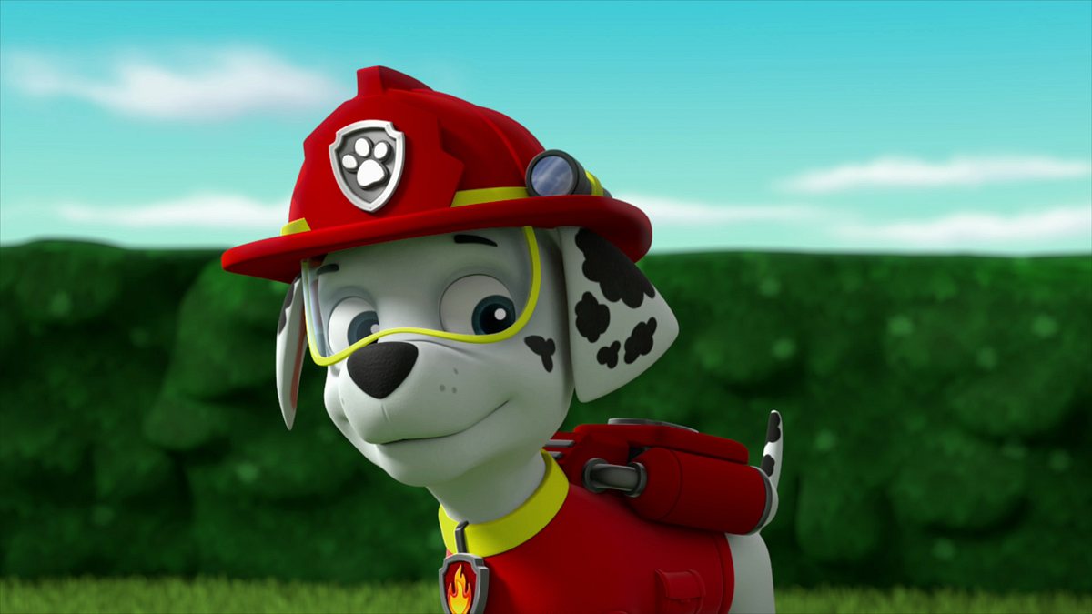 paw patrol - helfer auf vier pfoten