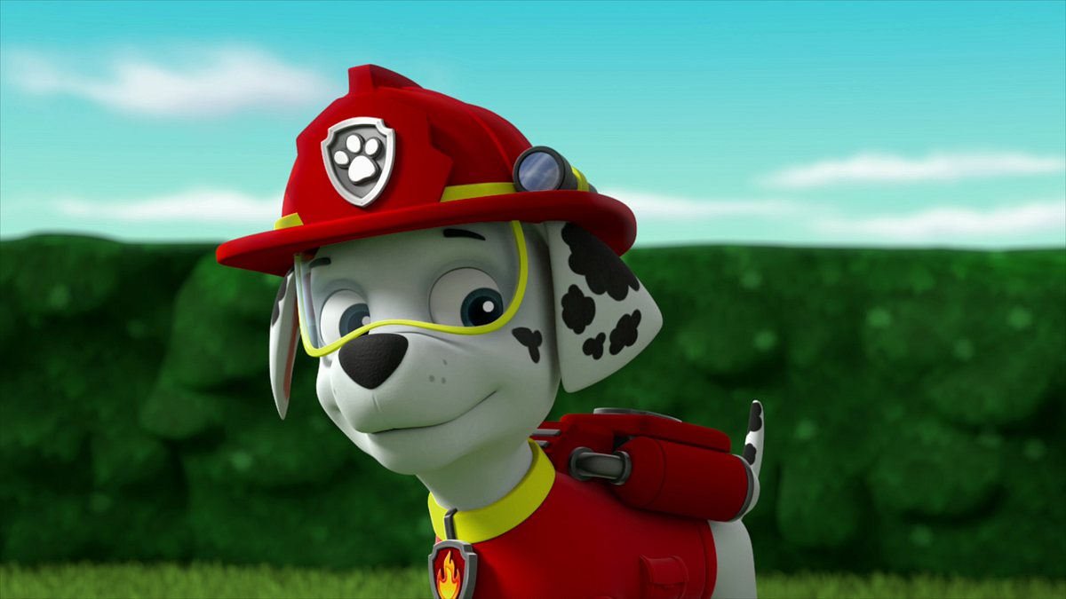 Paw Patrol - Helfer auf vier Pfoten paw patrol - helfer auf vier pfoten