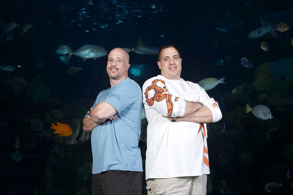 Die Aquarium-Profis die aquarium-profis
