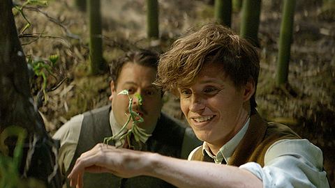 Phantastische Tierwesen - Foto: Warner Bros.