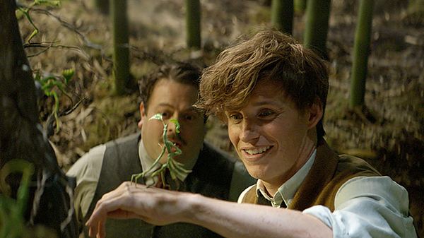 Phantastische Tierwesen - Foto: Warner Bros.