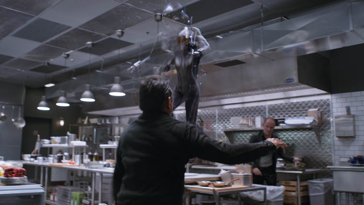 ant-man and the wasp