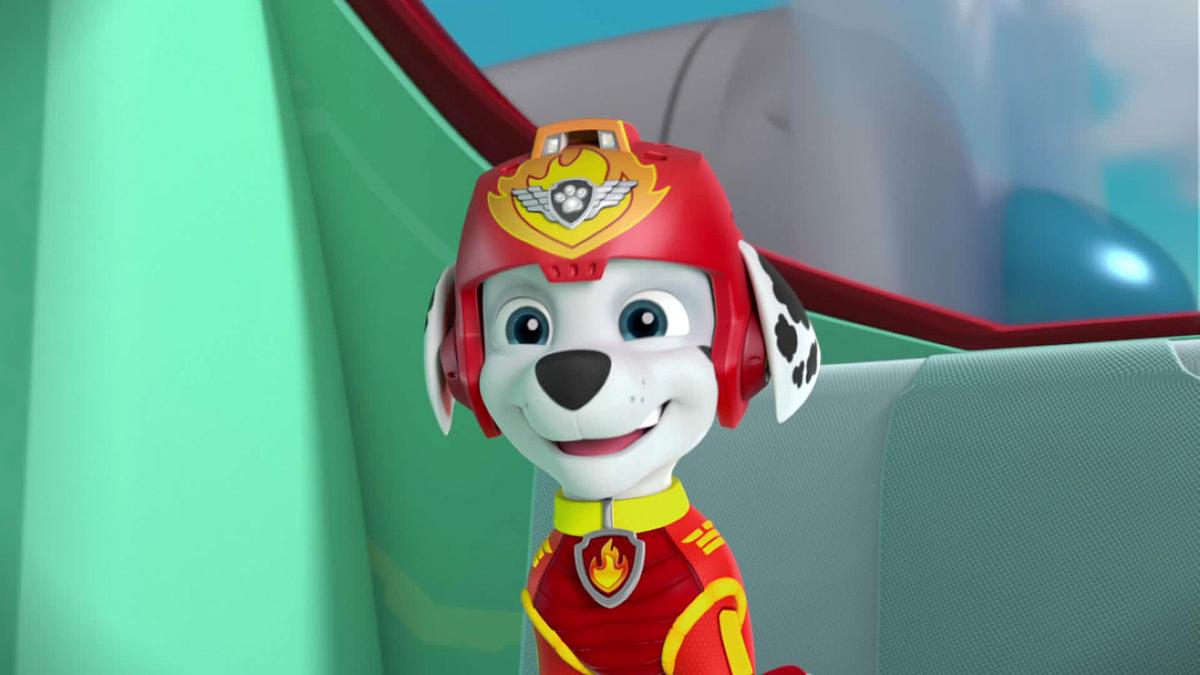 paw patrol - helfer auf vier pfoten